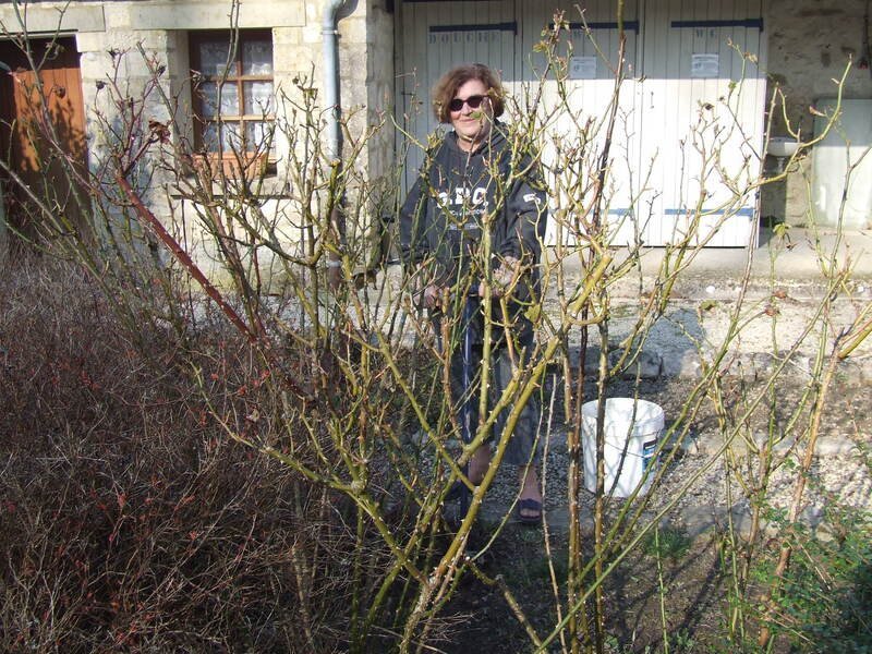 
								    Souvenir 2022 - dscf5848.jpg