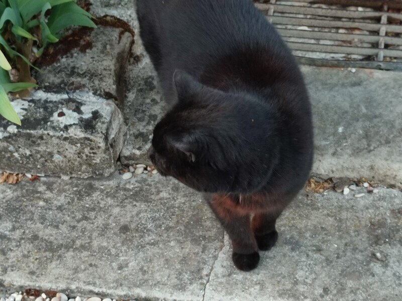 
								    Souvenir 2024 - couverture-2.jpg